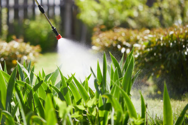 24/7 Emergency Cockroach Control experts in Ishpeming, MI